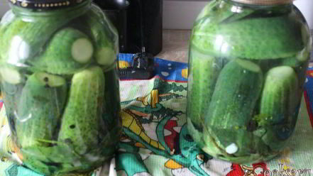 Рецепт маринованных огурцов с имбирем
