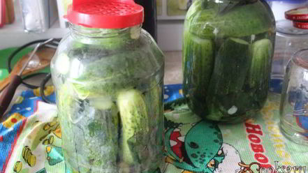 Рецепт маринованных огурцов с имбирем