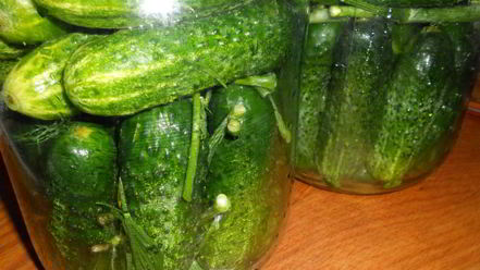 Рецепт маринованных огурцов с семенами горчицы