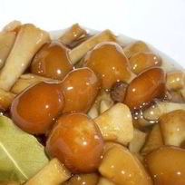 Рецепт Маринованных опят в собственном соку