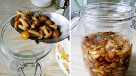 Рецепт маринованных опят в собственном соку