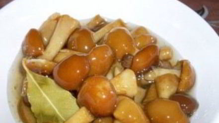 Рецепт маринованных опят в собственном соку