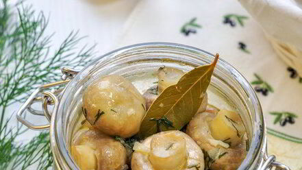 Рецепт маринованных шампиньонов