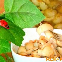 Маринованные сыроежки
