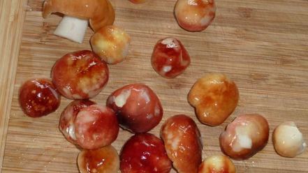 Рецепт маринованных сыроежек