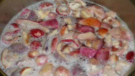 Рецепт маринованных сыроежек