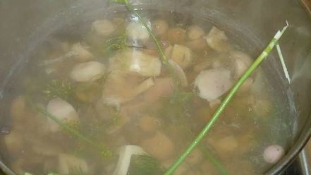 Рецепт маринованных сыроежек