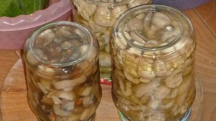 Рецепт маринованных сыроежек