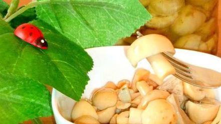Рецепт маринованных сыроежек