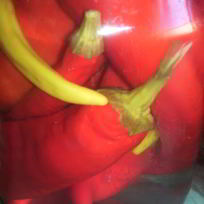 Острый перец маринованный