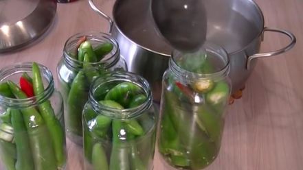 Рецепт перца горького маринованного на зиму без стерилизации
