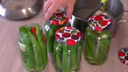 Рецепт перца горького маринованного на зиму без стерилизации