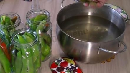 Рецепт перца горького маринованного на зиму без стерилизации