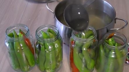 Рецепт перца горького маринованного на зиму без стерилизации