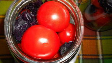 Рецепт помидоров маринованных с базиликом и яблочным уксусом