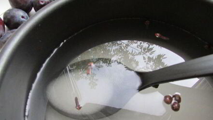 Рецепт слив, маринованных с чесноком