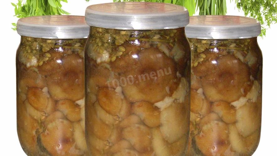 Рецепт волнушек маринованных