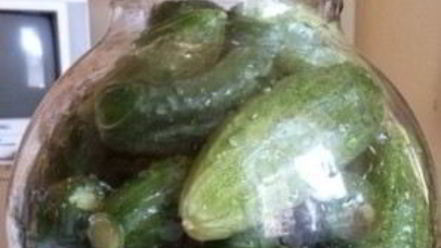 Рецепт огурчиков на зиму без стерилизации