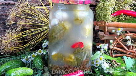 Рецепт огурцов бочковых на зиму в банках