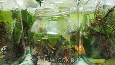 Рецепт огурцов бочковых на зиму в банках