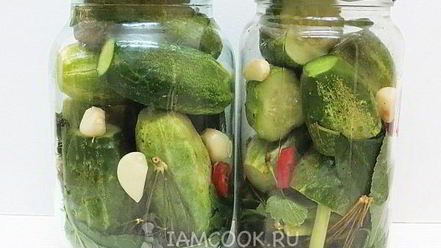 Рецепт огурцов бочковых на зиму в банках