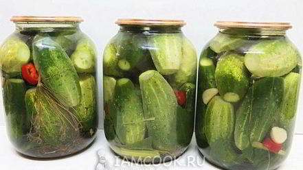 Рецепт огурцов бочковых на зиму в банках