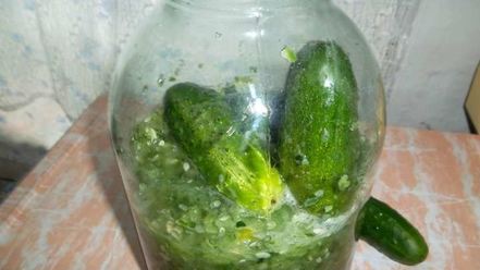 Рецепт огурцов в собственном соку на зиму