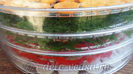 Рецепт овощной приправы