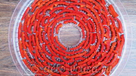 Рецепт овощной приправы