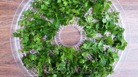 Рецепт овощной приправы