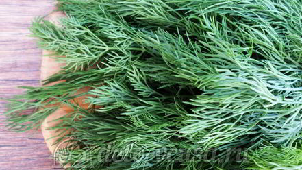 Рецепт овощной приправы