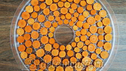 Рецепт овощной приправы