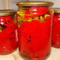 Перец горький на зиму