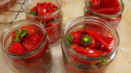 Рецепт перца горького на зиму