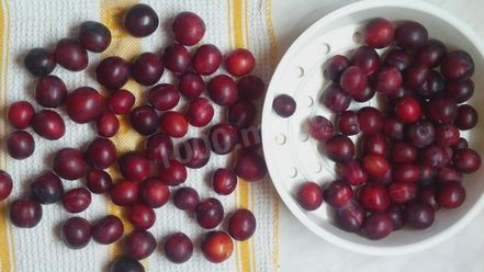 Рецепт сливового повидла из слив на зиму