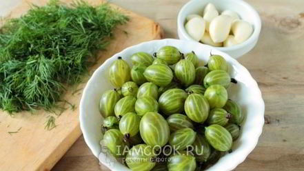 Рецепт приправы из крыжовника с чесноком на зиму