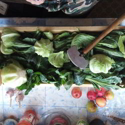 Рецепт Серой квашеной капусты