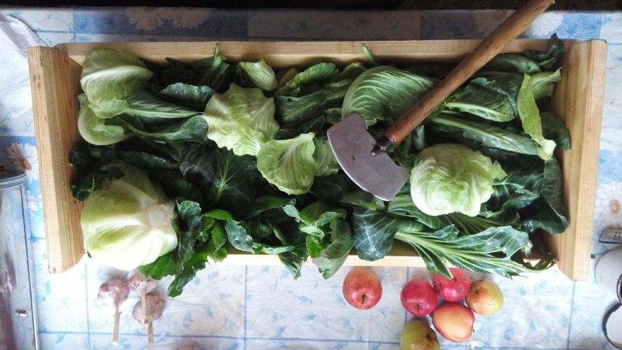 Рецепт серой квашеной капусты