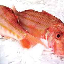 Рецепт Кефали соленой