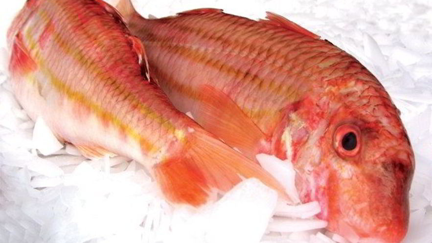 Рецепт кефали соленой