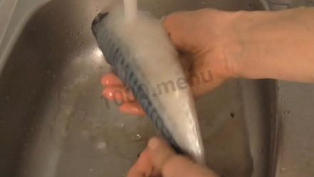 Рецепт малосольной скумбрии очень вкусная