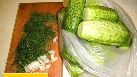 Рецепт малосольных хрустящих огурцов в пакете без рассола