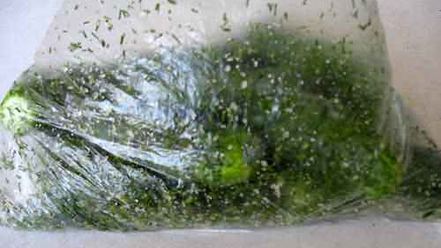 Рецепт малосольных огурчиков без рассола