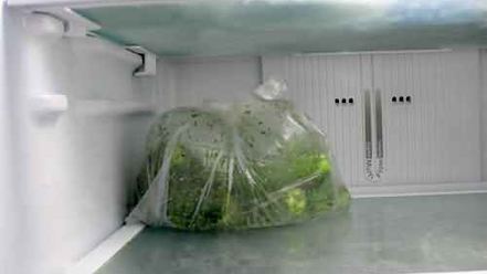 Рецепт малосольных огурчиков без рассола