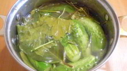 Рецепт малосольных огурчиков в кастрюле