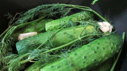 Рецепт малосольных огурчиков в минеральной воде