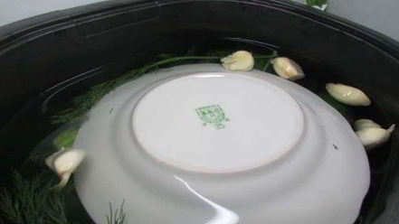 Рецепт малосольных огурчиков в минеральной воде