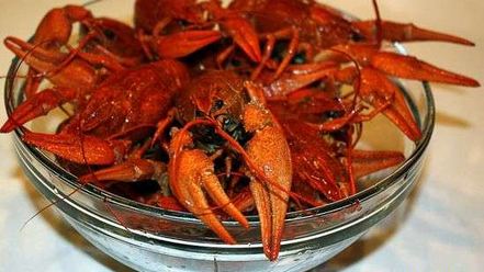 Рецепт малосольных огурчиков