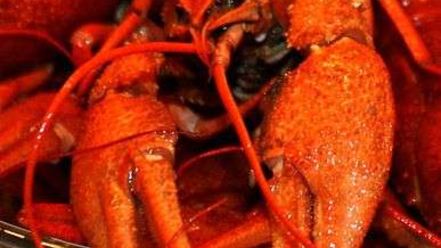 Рецепт малосольных огурчиков