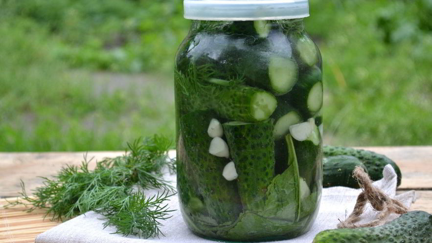 Рецепт малосольных огурцов без закатки